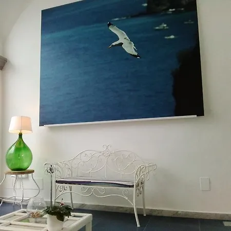 Guest house Dreaming